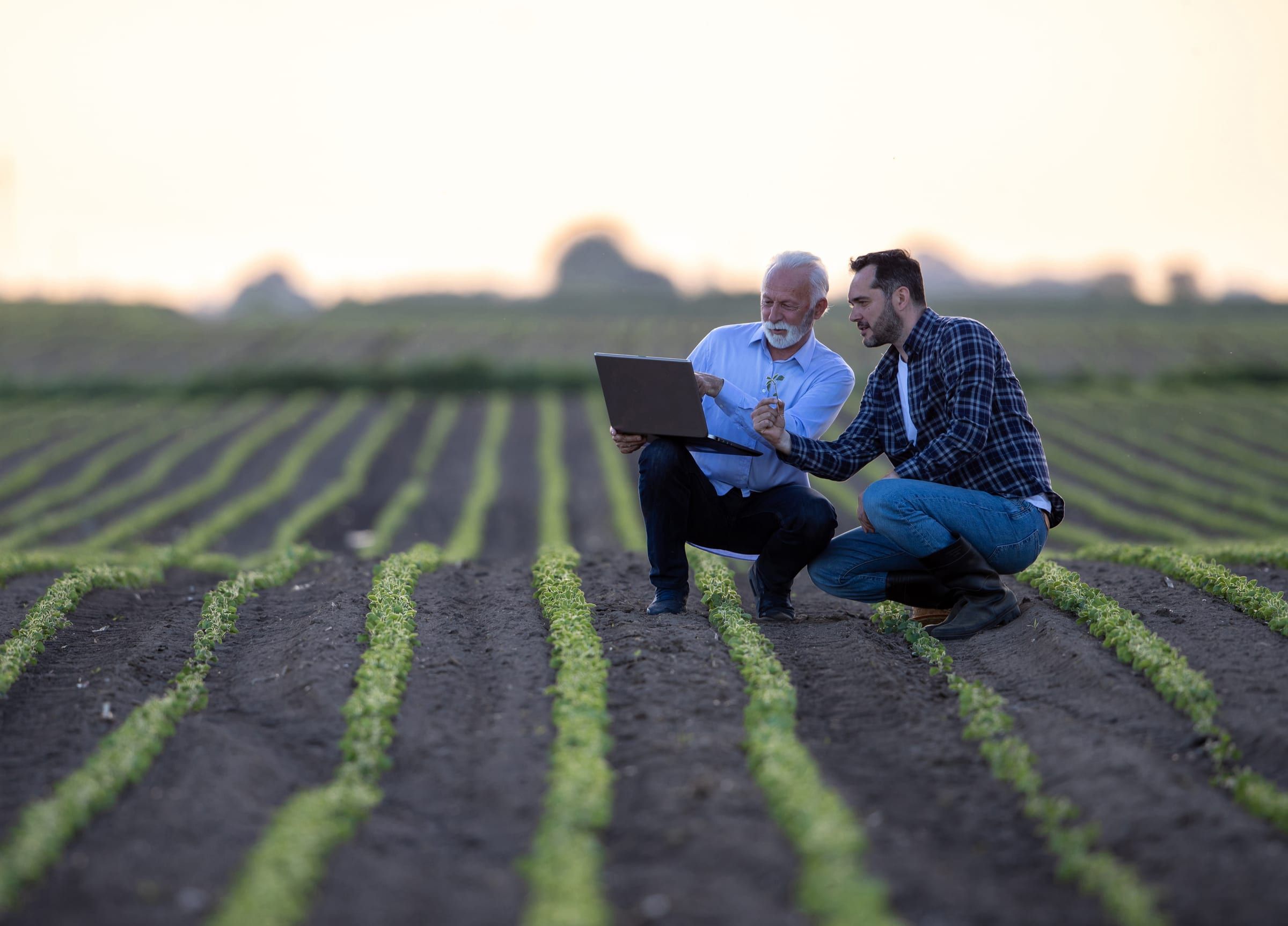 Two men crouching in a field, looking at a laptop